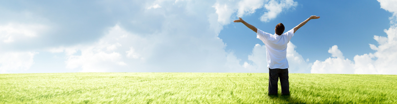 banner_3
